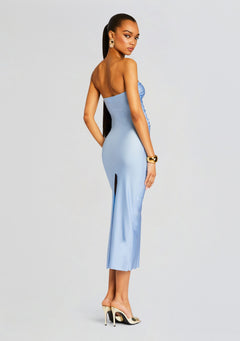 Lily Lycra Maxi Dress