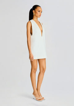 Symphony Shift Mini Dress