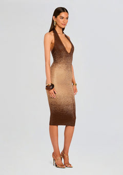Aviana Embellished Knit Dress