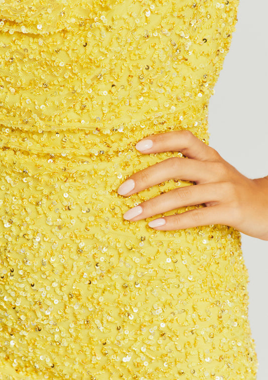 Mich Sequin Dress