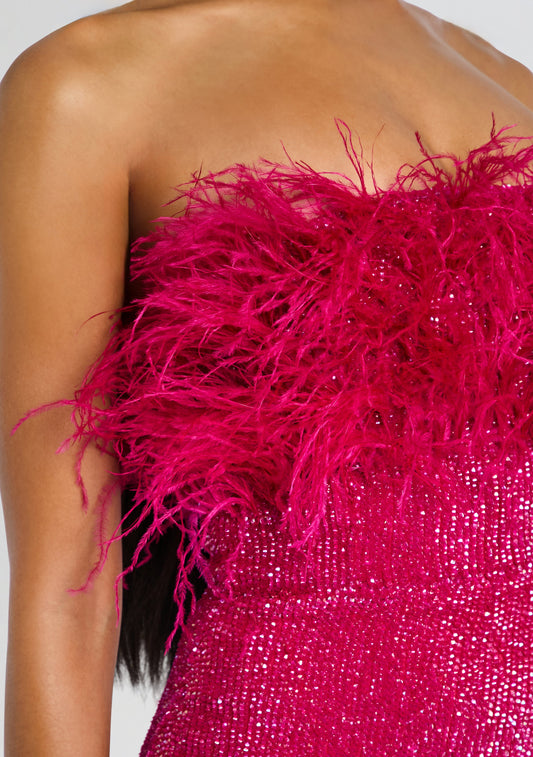 Torin Sequin Feather Dress