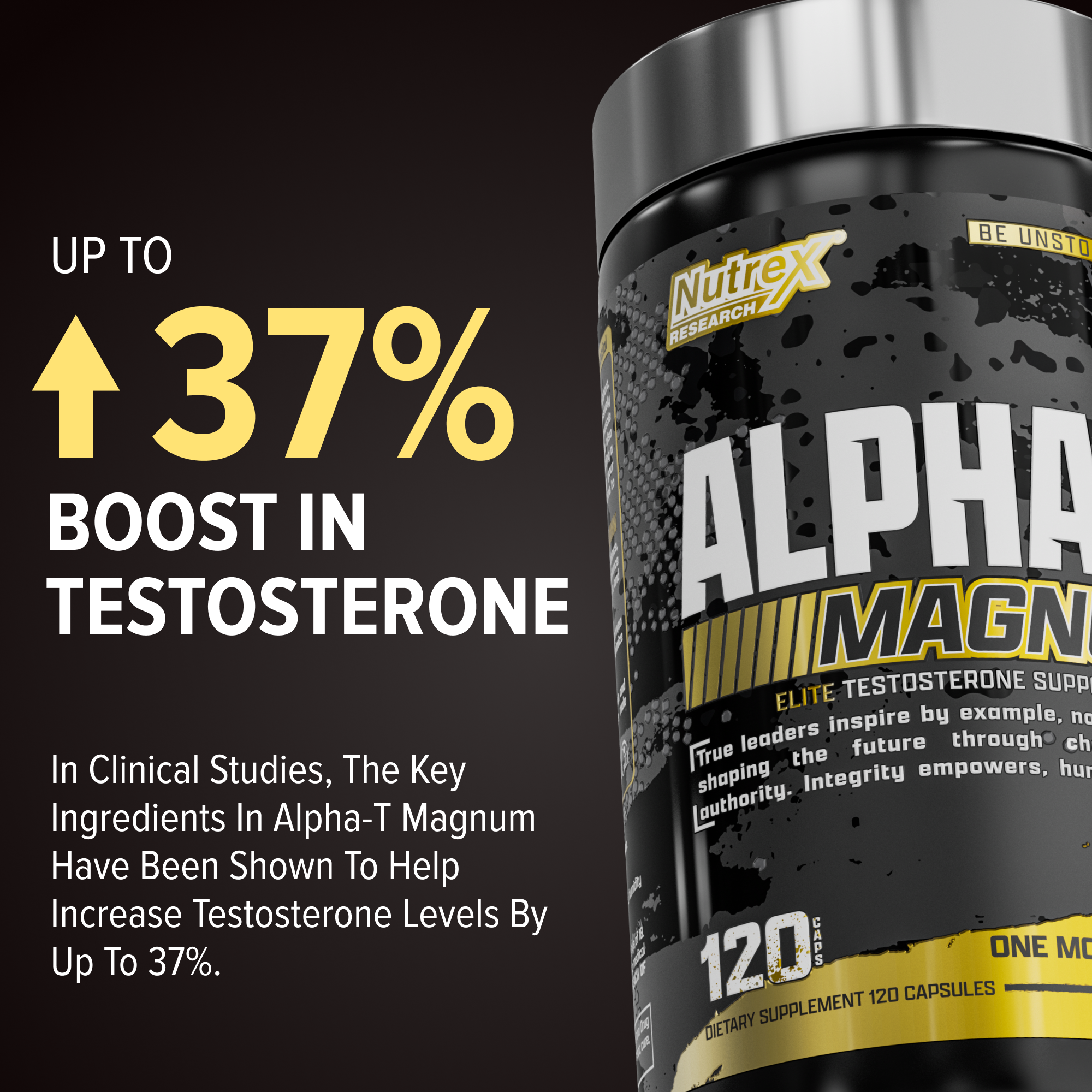 Alpha-T Magnum