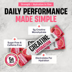 Creatine + Hydration Stick Packs