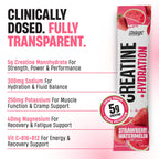 Creatine + Hydration Stick Packs