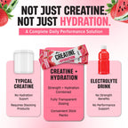 Creatine + Hydration Stick Packs
