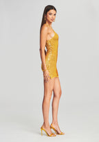 Elliana Sequin Crochet Dress