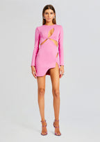 Ariel Long Sleeve Mini Dress