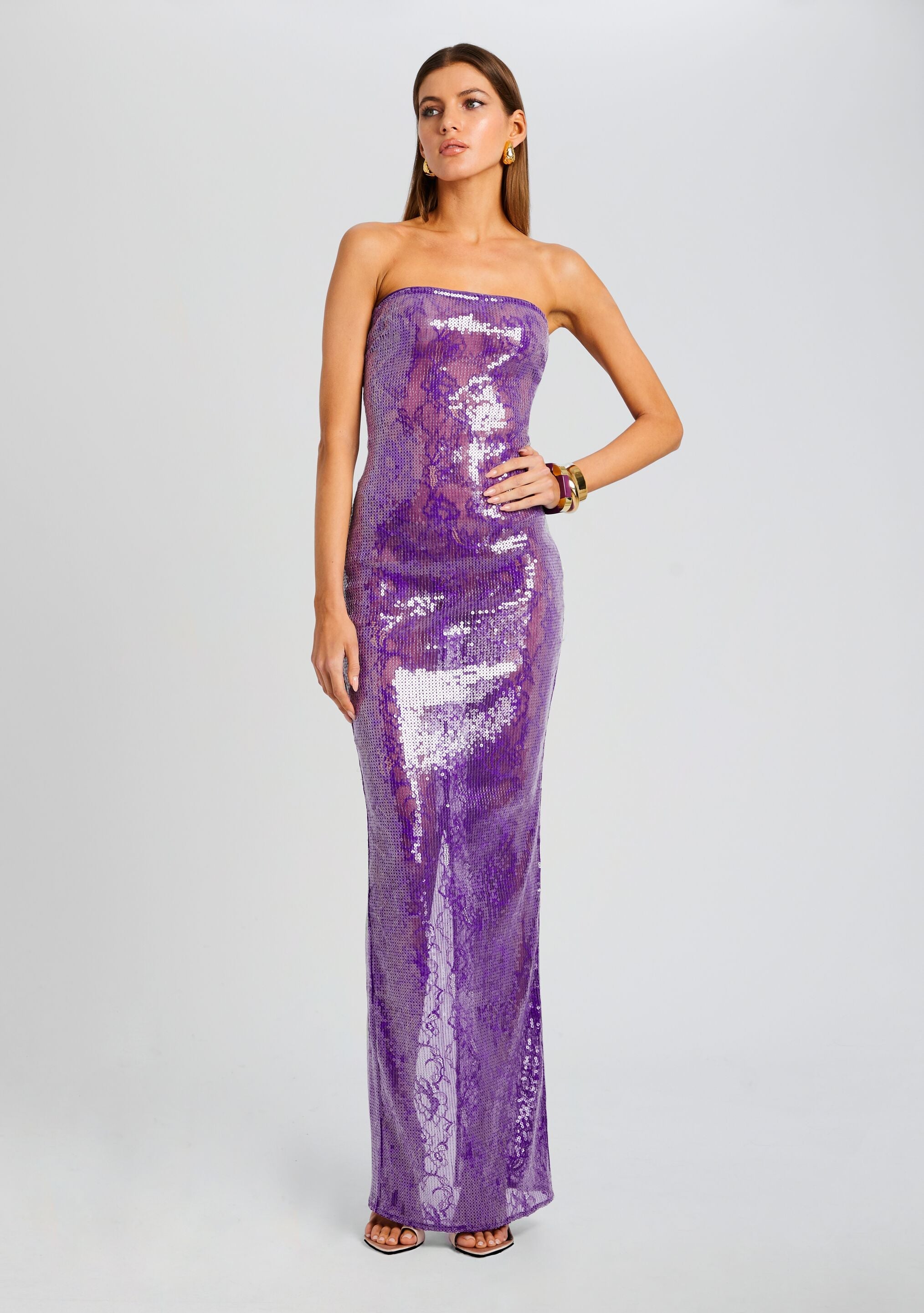 Lucia Sequin Lace Dress