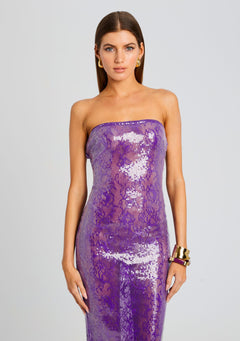 Lucia Sequin Lace Dress