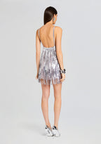 Alva Embellished Fringe Dress