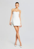 Amberly Leather Dress