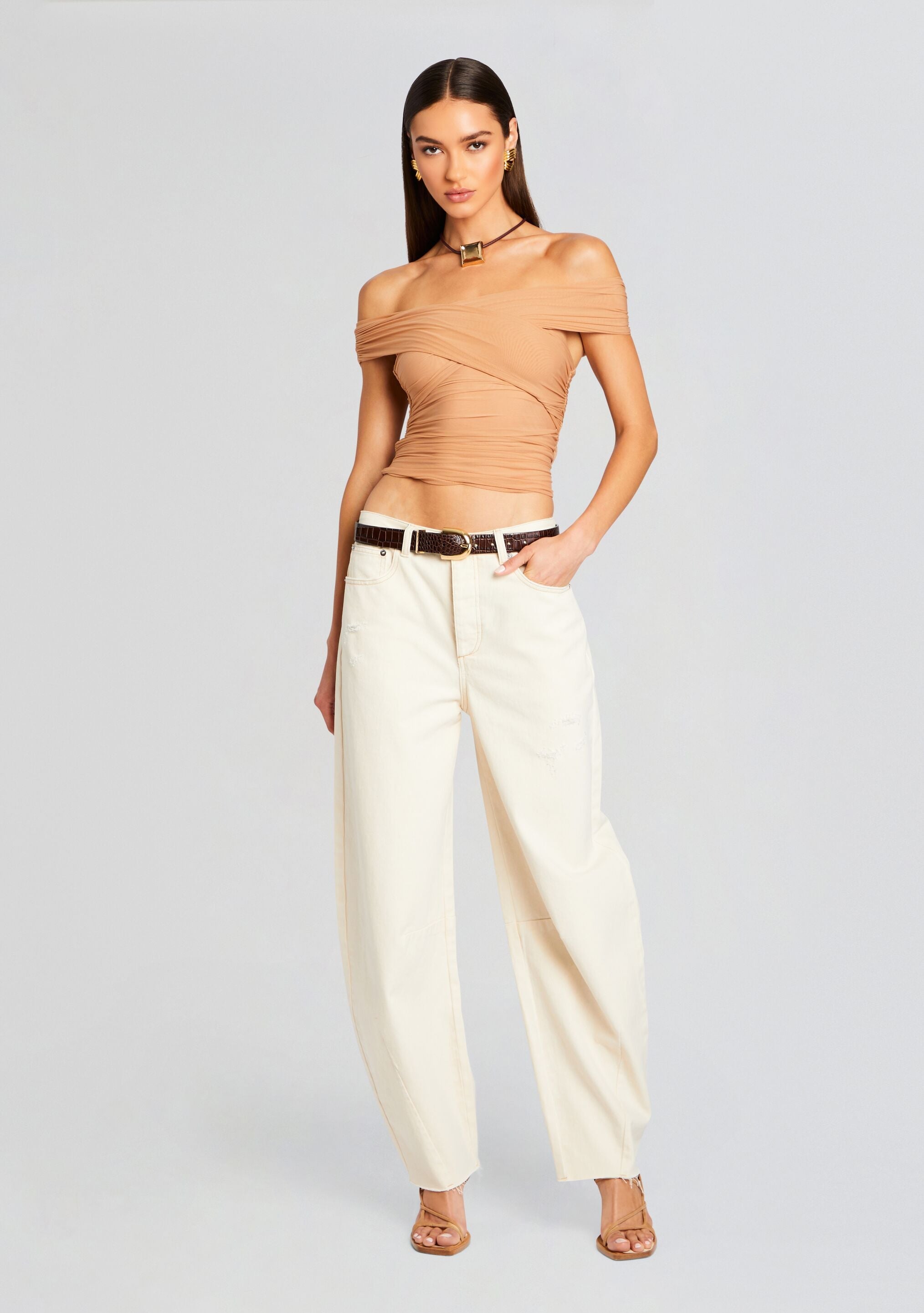 Aruba Mesh Top