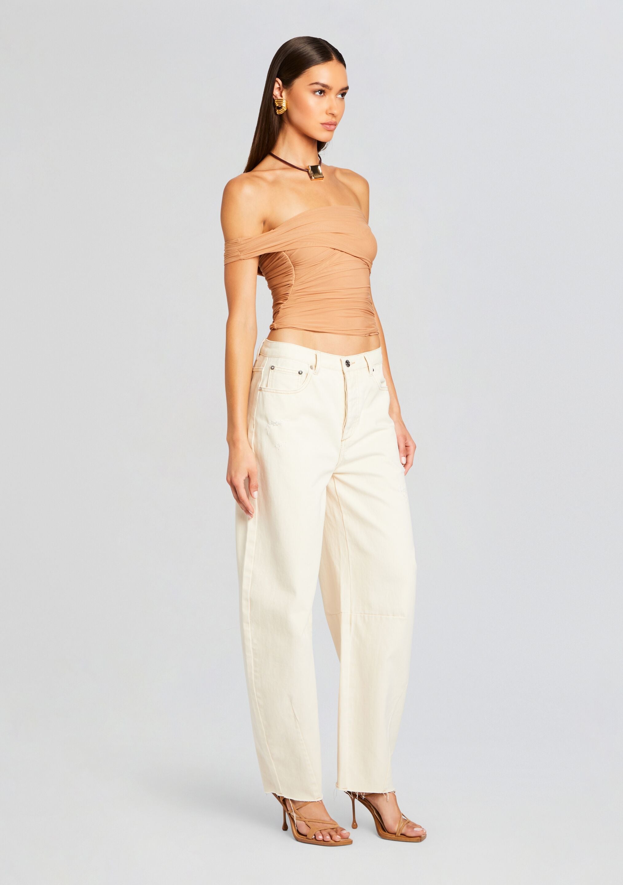 Aruba Mesh Top