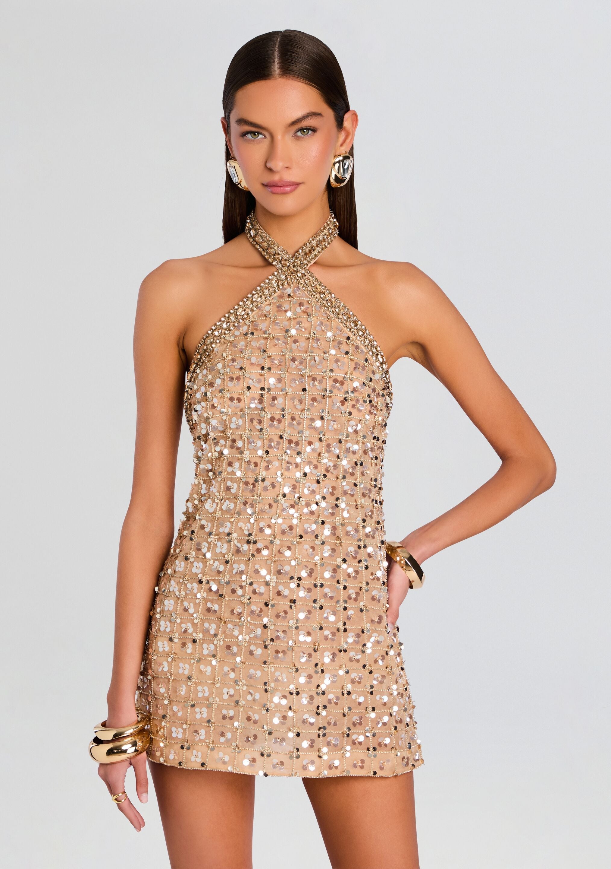 Janneth Sequin Dress