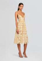 Eulalia Sequin Lace Dress