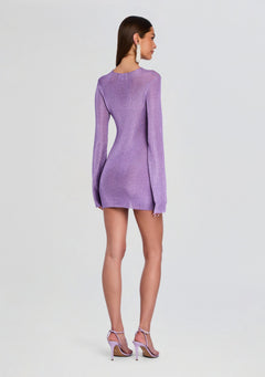 Emeri Metallic Knit Mini Dress
