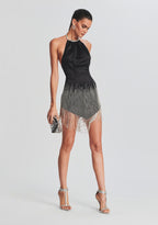 Eos Embellished Fringe Dress