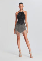 Eos Embellished Fringe Dress