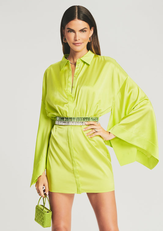 Scottie Silk Dress