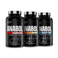 The Ultimate Abol Stack